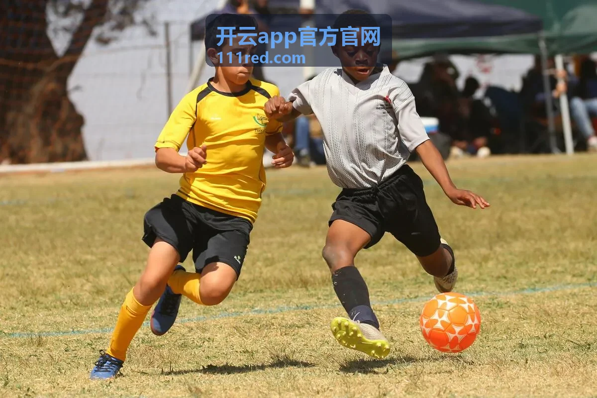 开云app官方官网企业服务管理界面